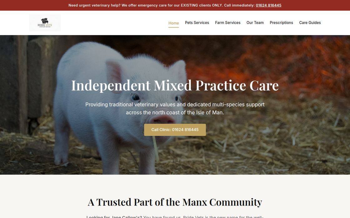 The new Bride Vets home page, launching soon